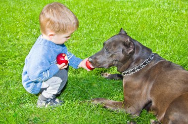 sevimli çocuk bir köpek elma regales
