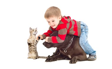 komik oyun çocuk, köpek ve kedi