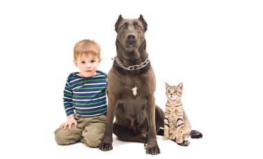 portre çocuk, köpek ve kedi yavrusu birlikte oturan