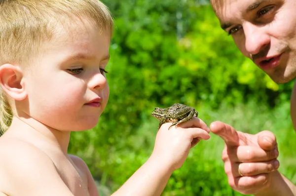 父と息子はカエルを検討しています。 — ストック写真