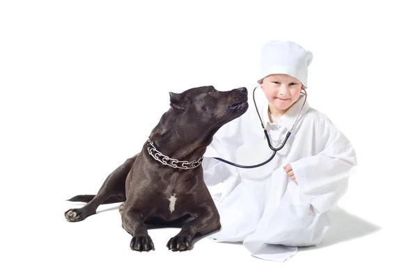 Child vet listens to a stethoscope dog — Stock Photo, Image