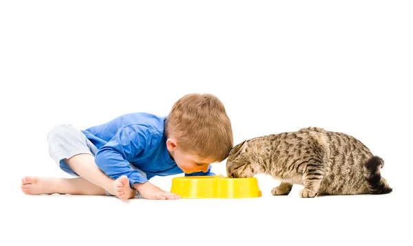 Menino e gato comendo da mesma tigela — Fotografia de Stock
