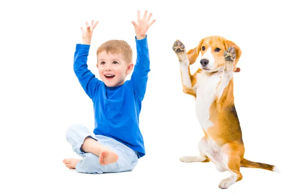 Veselý kluk a pes — Stock fotografie