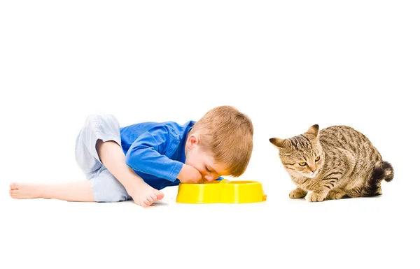 Comida conjunta menino e gato da mesma tigela — Fotografia de Stock