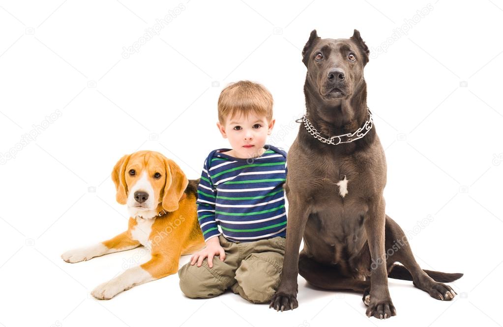 Beautiful little boy sitting with two dogs