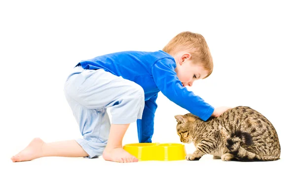 Bonito menino acariciando um gato enquanto come — Fotografia de Stock