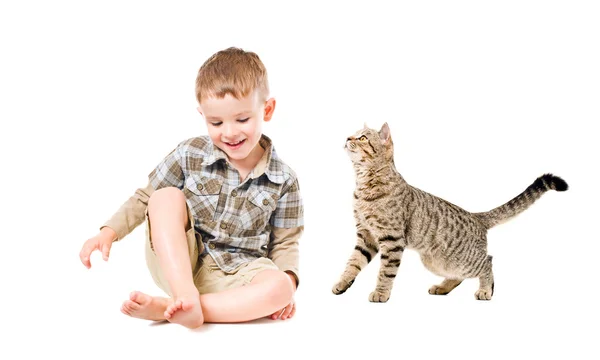 Красивый смеющийся мальчик и любопытный кот — стоковое фото