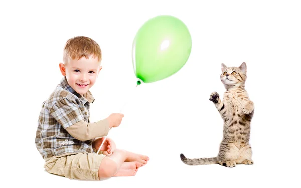 Wesoły chłopak i kotów kocięta grać balon — Zdjęcie stockowe