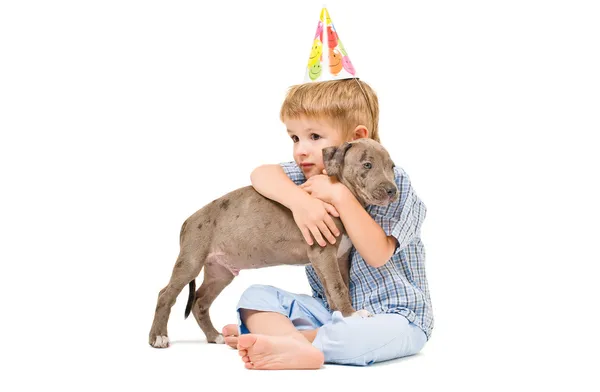 Dostu embrace çocuk ve pitbull yavrusu — Stok fotoğraf