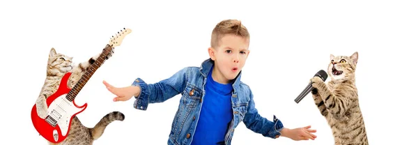 Portret Van Een Stijlvolle Dansende Jongen Met Twee Katten Muzikanten — Stockfoto