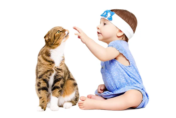 Cute Little Girl Curious Cat Sitting Together Isolated White Background — Zdjęcie stockowe