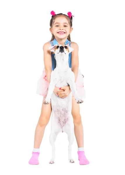陽気可愛いです女の子立っていますともに犬パーソンRussellテリア孤立した上の白い背景 — ストック写真