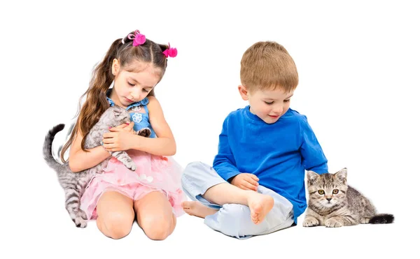 Cute Małe Dzieci Bawiące Się Kociąt Siedzi Izolowany Białym Tle — Zdjęcie stockowe