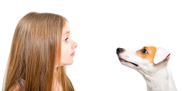 Portrét Roztomilé Holčičky Psa Jack Russell Teriér Boční Pohled Izolované — Stock fotografie