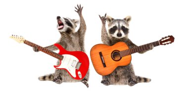 Beyaz arka planda gitarları olan iki komik rakun.