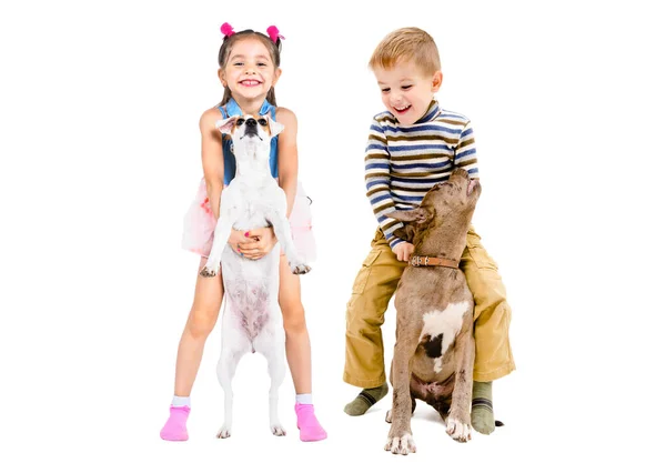 Fröhliche Kinder Spielen Mit Hunden Isoliert Auf Weißem Hintergrund — Stockfoto