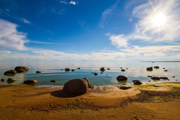 Відхилити на узбережжі Балтійського моря — стокове фото
