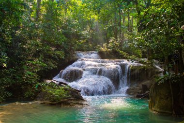 Orman ve Tayland falls