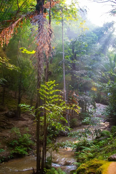 ジャングルとタイの滝 — ストック写真