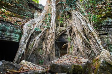 ta-balo Tapınağı, angkor, Kamboçya