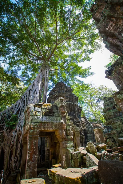 Templo de Ta-Prom, Angkor, Camboya —  Fotos de Stock