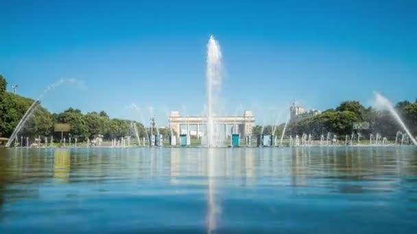 Fontein Het Centrale Park Zomer Time Lapse — Stockvideo