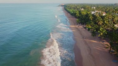 Sri Lanka kıyısında. Asya. Hint Okyanusu, plaj, orman ve palmiye ağaçları arasında oteller. Hava 4K.
