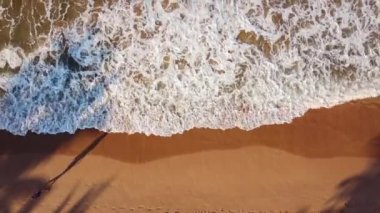 Dalgalar kıyıya vuruyor. Üst görünüm (anten), arkaplan. Kadınlar sahilde okyanus boyunca yürür. Okyanus ya da deniz sörfü ve sahilde palmiye ağaçlarının gölgeleri.