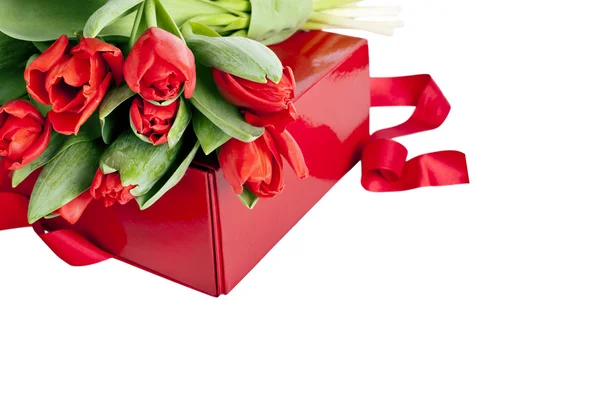 Красные тюльпаны и подарочная коробка на белом фоне — стоковое фото