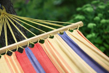 hamakta yeşil yaz Bahçe, yakın çekim