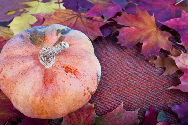 Herbstrand aus Kürbis und buntem Herbstlaub auf dem — Stockfoto