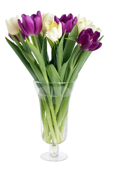 Strauß aus gelben lila Tulpen in einer Vase isoliert auf weiß — Stockfoto