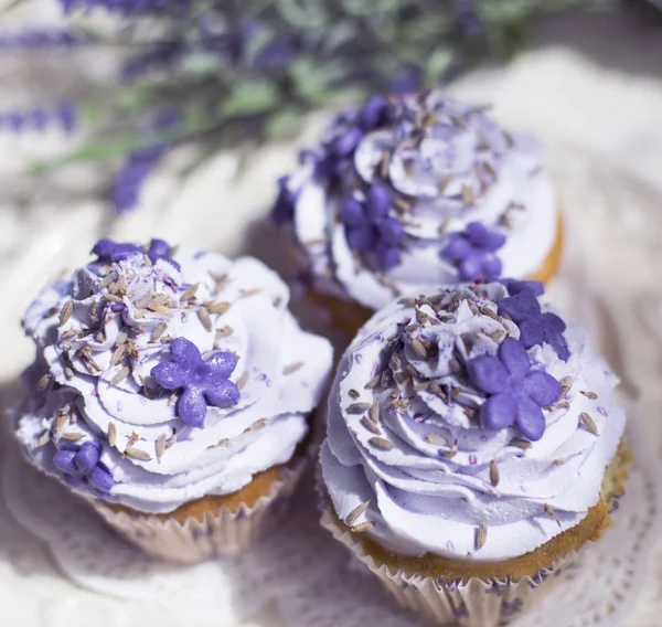 Cupcakes with lavender — Stock Photo, Image