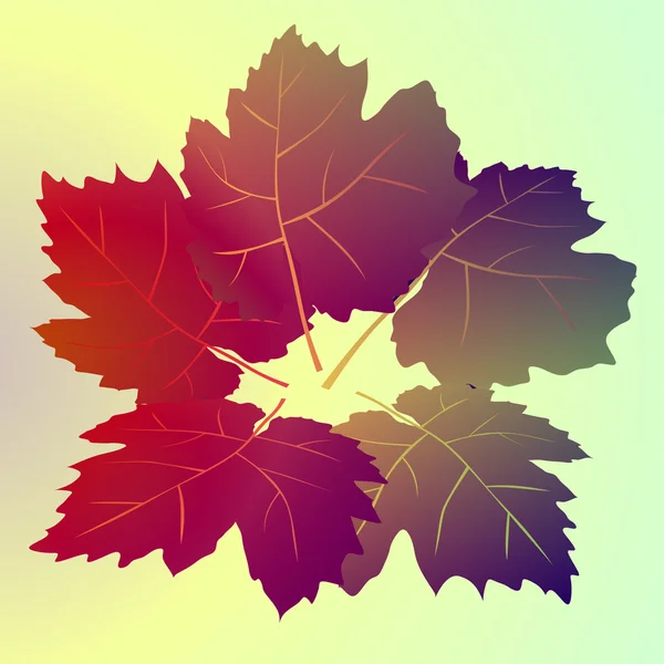 Vin coloré feuilles carte vecteur arrière-plan — Image vectorielle