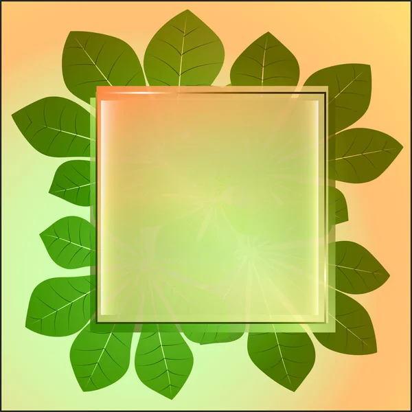 Several green colored square frame and chestnut leaves card vector — Stock Vector