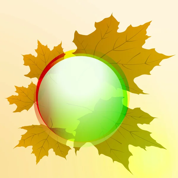 Feuilles d'érable de couleur orange asymétrique et vecteur de carte à bouton circulaire — Image vectorielle
