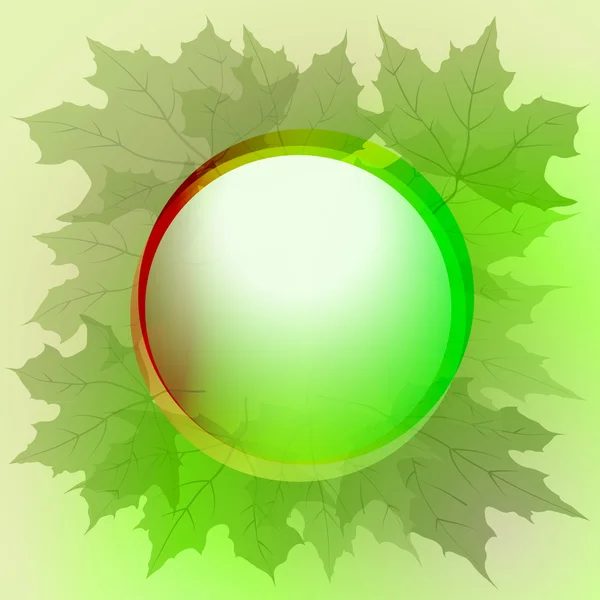 Green colored round button and maple leaves card vector — Stock Vector