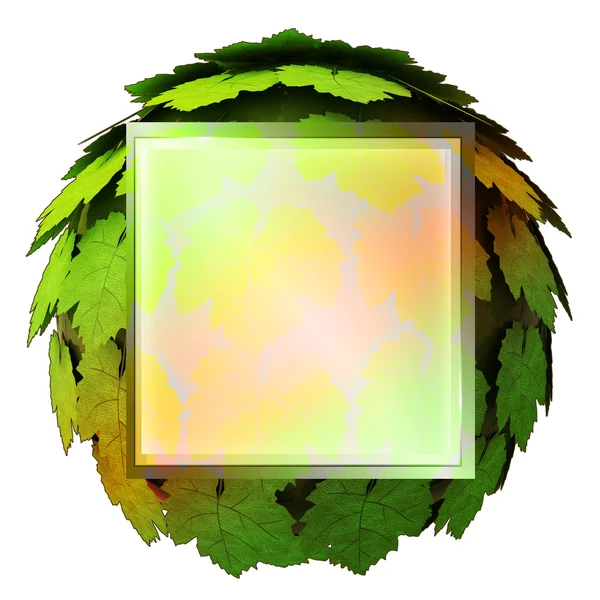 Elszigetelt juhar fa teteje négyzet alakú ikon sablon koncepció illusztráció — Stock Fotó