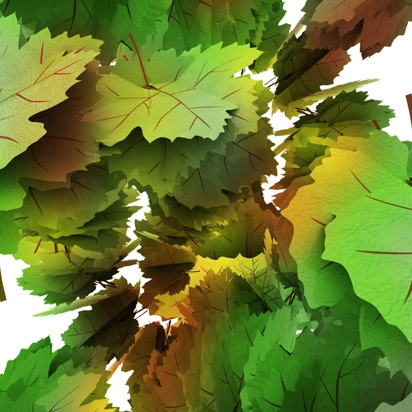 Cluster of colored maple leaves background illustration — Stock Photo, Image
