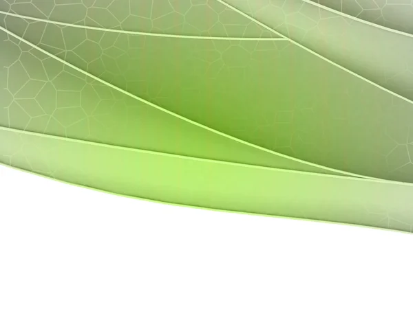 Zöld virág kompozíció, fehér szerkeszthető hely — Stock Fotó