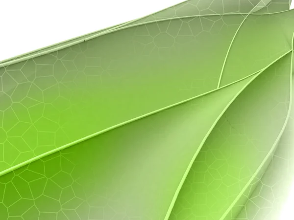 Concept large écran forme florale verte — Photo