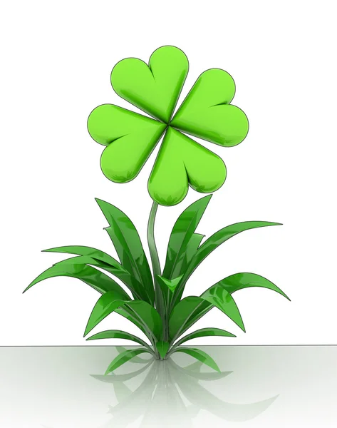 Isolated flower with cloverleaf blossom — Stock Photo, Image