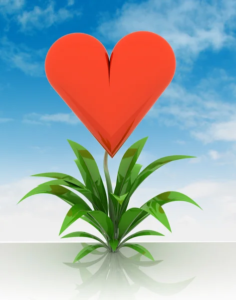 Blooming heart of love flower with sky — Stock Photo, Image