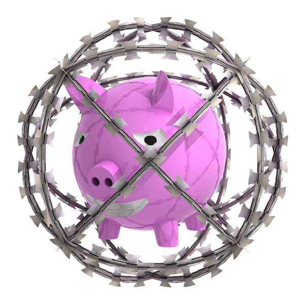 Isolated pig in barbed wire sphere — Stock Photo, Image