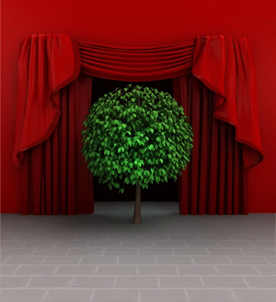 Introductie van de natuurlijke boom vóór aanvang van de tentoonstelling — Stockfoto