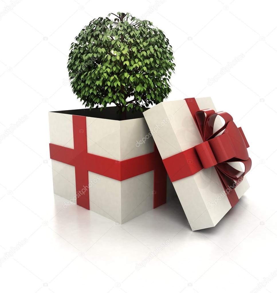 mysterious magic gift with green leafy tree render