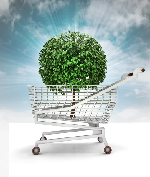 Bought tree in shopping cart with sky — Stock Photo, Image