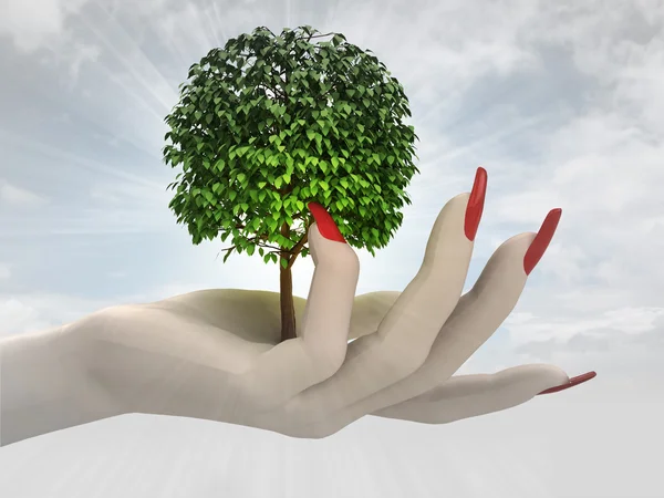 女性の手で緑の葉の茂った木をレンダリングします。 — ストック写真