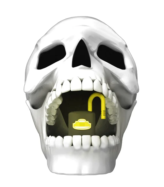 Crânio humano — Fotografia de Stock