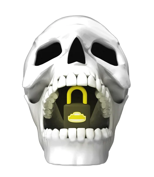 Human skull — Stock Photo, Image